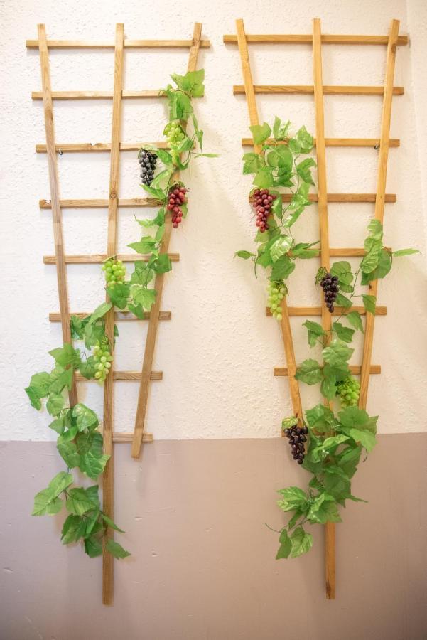 Douce Parenthese A Carcassonne Apartment ภายนอก รูปภาพ