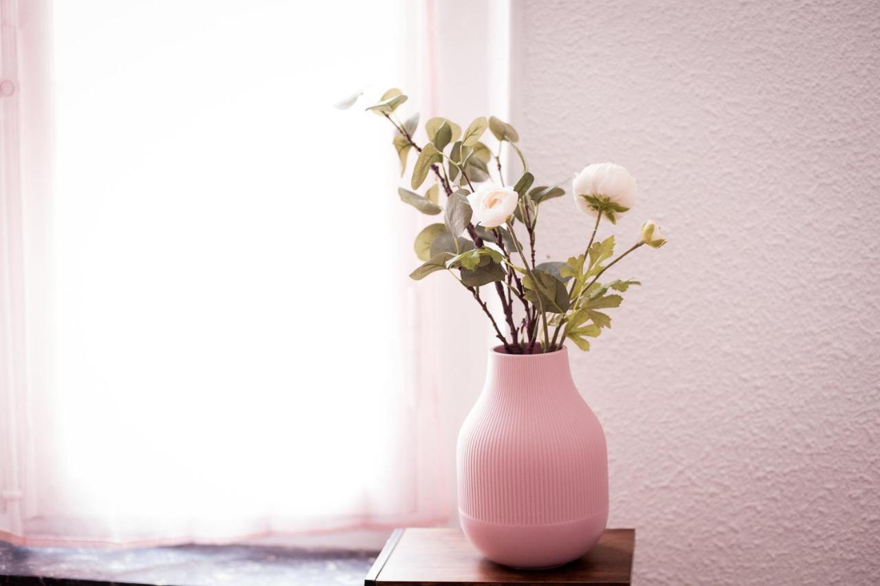 Douce Parenthese A Carcassonne Apartment ภายนอก รูปภาพ